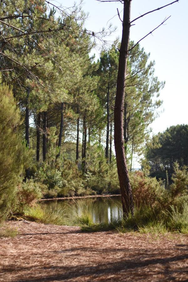 La Cachette Du Lac Lacanau Buitenkant foto
